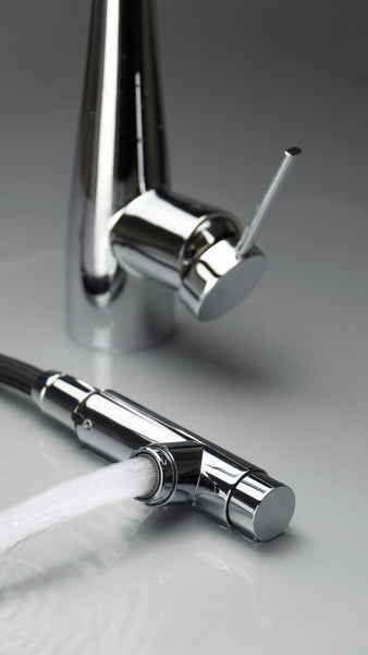 Deante ERIDAN 075M Keukenkraan met Uittrekbare Uitloop & Aansluiting voor Waterfilter – Chroom