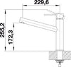 BLANCO AMBIS keukenkraan edelstaal RVS geborsteld 523118