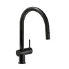 Alpha Live 0237 Keukenkraan Zwart